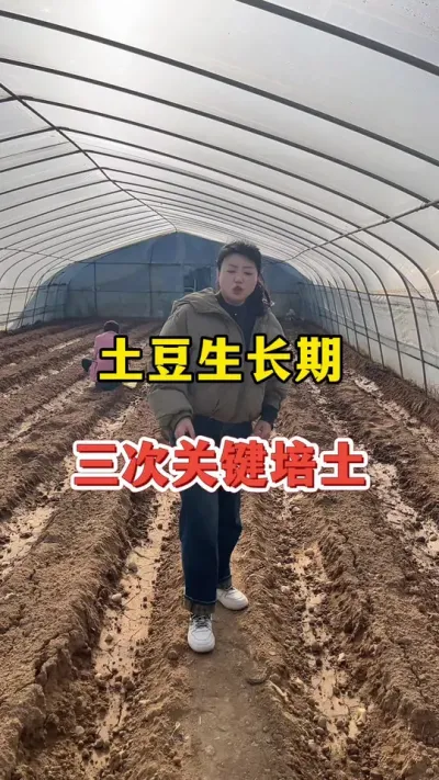 土豆生长期攀比关键培土，一次也不能少#土豆高产种植 #土豆 @抖音小助手