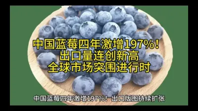 中国蓝莓四年激增197%！出口量连创新高，全球市场突围进行时
 
（注：标题包含核心数据、动态趋势与产业价值升华，符合用户对简洁性与冲击力的要求。）@云食界展贸服务平台