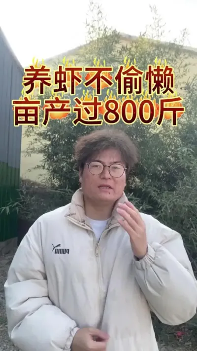 养虾不偷懒，亩产800斤#三农 #农业 #小龙虾 #渔德盛 #龙虾养殖