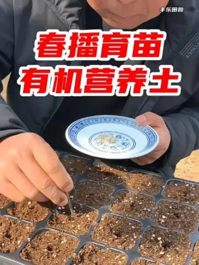 春播时节播种育苗，养花种菜，营养土少不了 #营养土 #育苗  #养花种菜 #生根 #农业种植