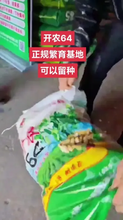 开农六四是薄皮罗汉果，它是宛花系列品种的升级换代品种。基因提纯，它皮更薄，出米率更高，咱说一下他的特点啊。第一，它是所有罗汉果中出米率最高的。第二，它抗性强，抗青枯、抗茎基腐。第三，开农六四，它属于是
