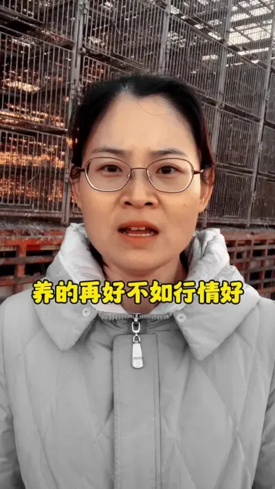 养的再好不如行情好，啥时候涨价啊。#养鹅人 #养殖人加油 #科学养鹅 #养鹅技术分享 #三农