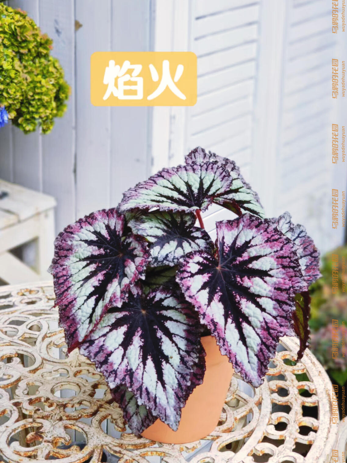 http://static.ixuenong.com/pxn/uploads/prod/thirdfile/2025/05/6cdab1668d68a5016566fcb378dffc0c.jpg