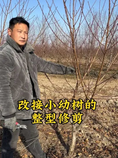 #抖音助农 #支持三农扶持三农发展 #关注我每天为你分享更多农业知识 #农业技术推广 #桃树冬季修剪 @抖音小助手 @抖音创作小助手 @抖音热点