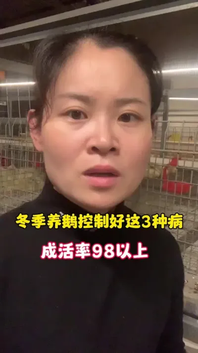 冬季养鹅控制好这3种病，成活率98%以上。#养鹅技术分享 #养鹅人 #科学养鹅 #狮头鹅 #三农