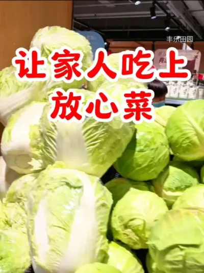 让家人吃上放心蔬菜#食品安全 #健康 #一日三餐 #蔬菜检测农药残留仪器 #农药残留