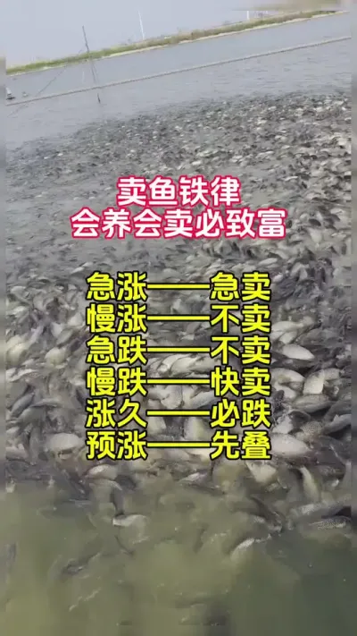 养鱼人会养还要会卖#高密度养鱼 #水产养殖技术 #鱼虾蟹养殖 @抖加🔥上热门🔥dou+🔥热点宝
