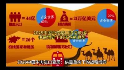 2025中国牛肉进口增速放缓：供需博弈下的市场新趋势@云食界展贸服务平台