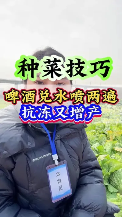 啤酒兑水喷两遍抗冻又增产#种植小技巧 #抖音助农 #三农 #农业种植 #生根壮苗