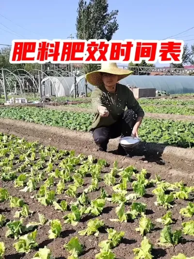 肥料肥效时间表 #三农#农业 #肥料知识  #肥料 #化肥 @DOU+上热门 @DOU+小助手