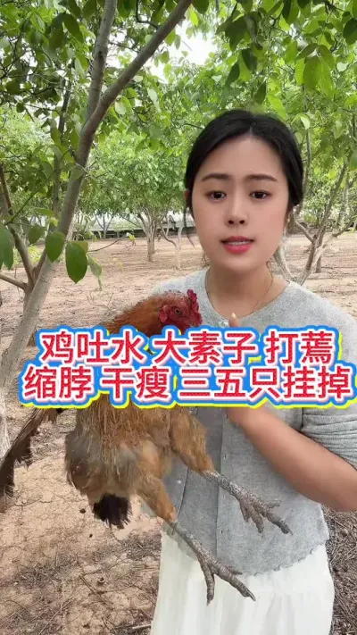 #养鸡#科学养鸡#散养土鸡#养鸡妙招#鸡鸭鹅养殖