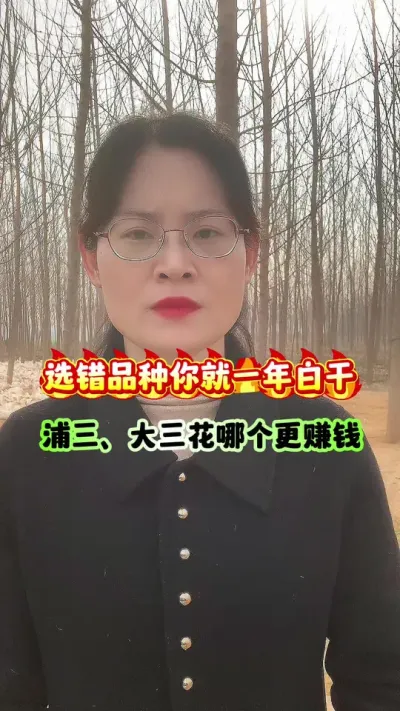 养鹅选错品种你就一年白干，浦三，大三花哪个更赚钱？#养鹅人 #三农 #农村创业养殖 #养殖人加油 #养殖技术