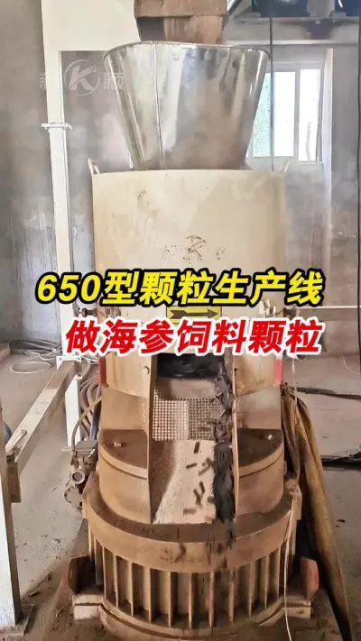 山东客户时产3-4吨海参饲料颗粒生产线安装调试完成，一起欣赏一下工作效果吧。#颗粒生产线 #颗粒机 #养殖