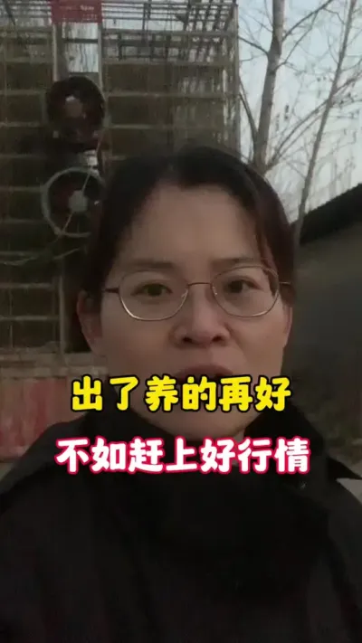 出栏了，养的再好不如赶上好行情。#养鹅技术分享 #科学养鹅 #农村创业养殖 #养殖人加油