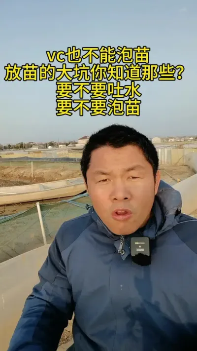 泡苗和吐水蟹苗 #大闸蟹养殖 #河蟹养殖 #螃蟹养殖 #鱼虾蟹养殖 #养蟹发哥