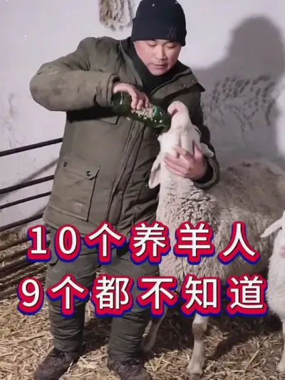10个养羊人9个都不知道 #养羊 #科学养羊 #新手养羊 #牛羊养殖