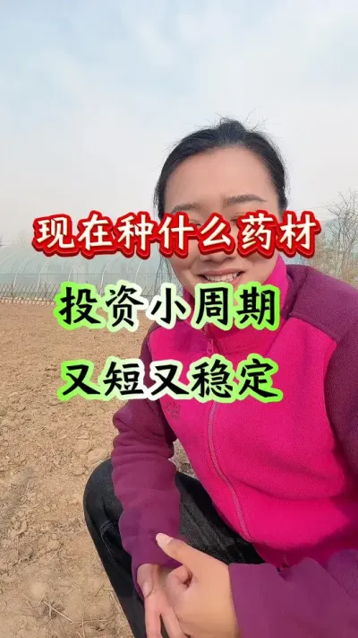 药材种植 现在种什么药材投资小周期又短又稳定 #药材种植 #药材管理