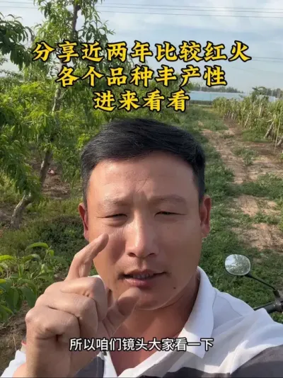 #农业种植 #抖音新农人 #桃新品种 #抖音新农人 #乡村致富带头人 @抖音小助手 @抖音热点 @抖音创作者中心