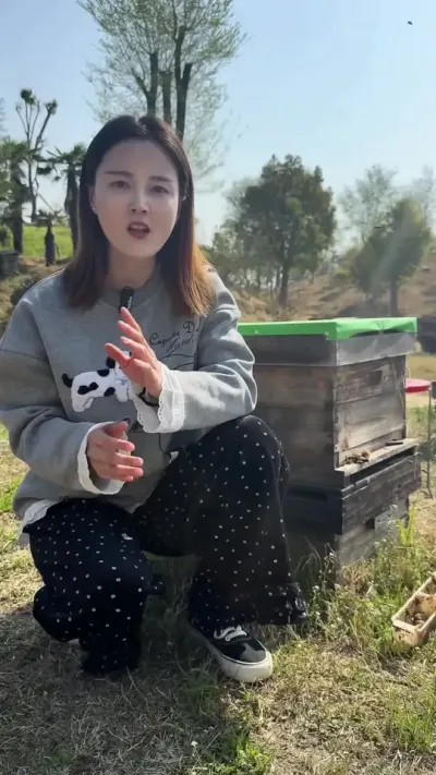 #蜂农 #蜜蜂🐝 #养蜂技术 #三农