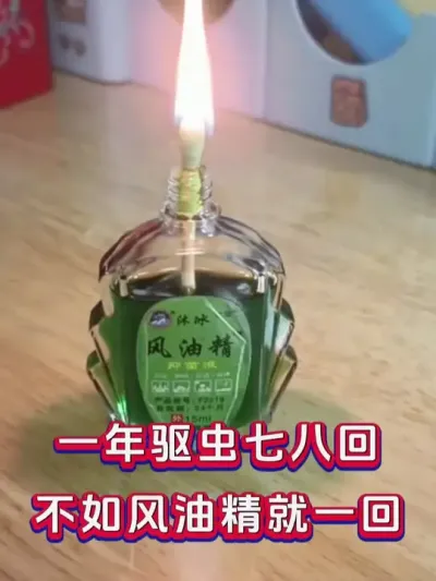 一年驱虫七八回，不如用风油精就一回 #养羊 #养殖知识 #养羊人 #新手养羊