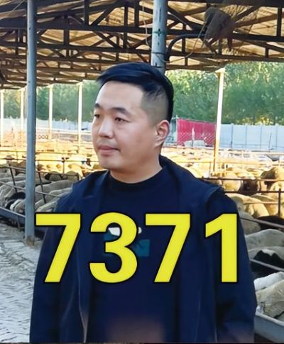 #每天分享牛羊养殖小知识 #养殖场专用 #养羊人
