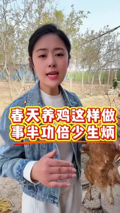 春天养鸡这样做事半功倍少生炳 #养鸡#科学养鸡#鸡驱虫#散养土鸡#鸡鸭鹅养殖