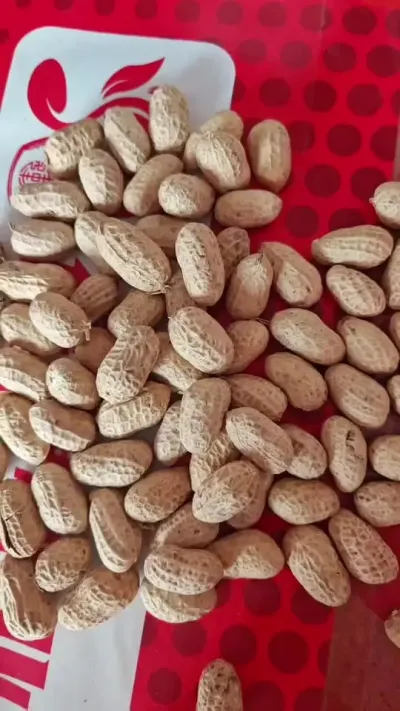 种花生想田中无草吗#抖音助农 #农业人 #农业种植技术 #花生 #关注三农
