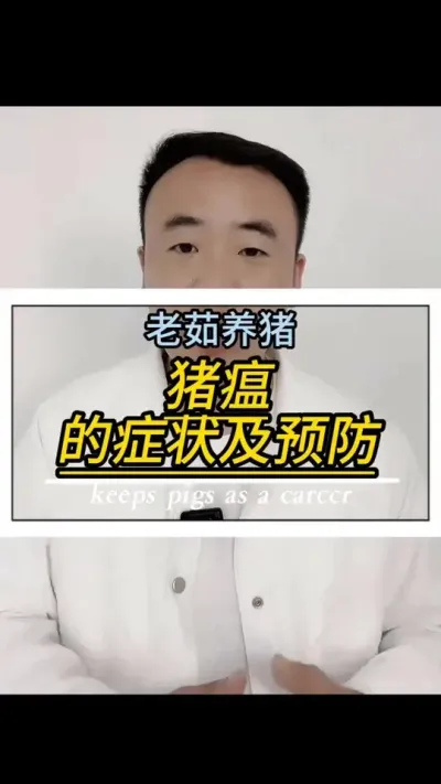 猪瘟有什么症状，猪瘟疫苗应该如何做 #所有养猪人 #养猪#猪瘟防控 #创作灵感#养猪人不容易