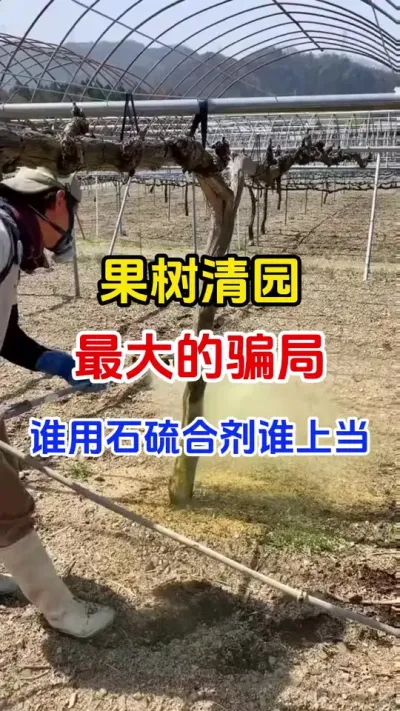 果树清园最大的骗局#果树种植#果树清园#清园剂#病虫害防治#果园管理