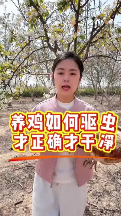 养鸡如何驱虫才干净才正确#养鸡#科学养鸡#散养土鸡#鸡驱虫#鸡病防治