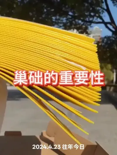 养蜂用好巢础片#蜜蜂养殖 #三农 #巢础