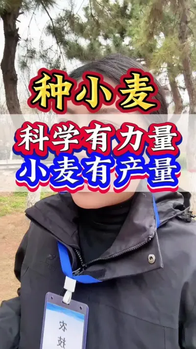 科学有力量小麦有产量#小麦高产技术 #小麦 #小麦增产 #小麦种植 #小麦管理