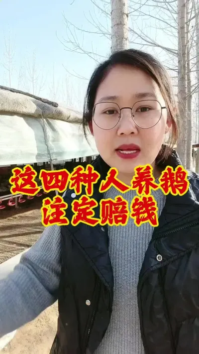 这四种人养鹅注定赔钱#养鹅人 #养鹅 #鹅 #养鹅技术分享 #新手养鹅
