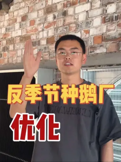 反季节种鹅厂已经开始布置了！种鹅跟反季节种鹅确实还是有很大的区别的！开干吧！#养鹅技术找晓雨 #养鹅技术分享 #养鹅