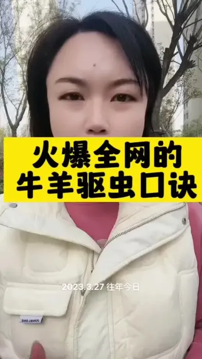养殖驱虫，做好驱虫工作#牛价行情 #育肥牛 #全国养牛人 #西门塔尔母牛