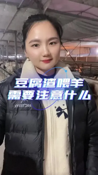 豆腐渣喂羊应该注意什么？#养羊知识 #养羊人 #自繁自养 #农村创业养殖 #羊价行情