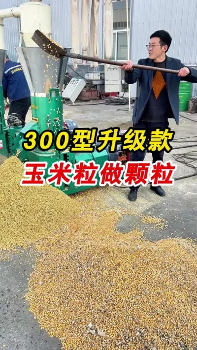 300型升级款饲料颗粒机 300型升级款饲料颗粒机制作精饲料颗粒。#颗粒机 #饲料颗粒机 #养殖