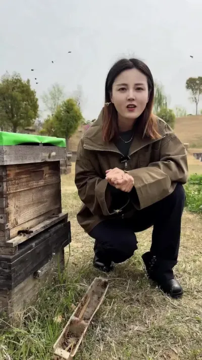 #蜜蜂🐝 #三农 #蜂农 #养蜂技术