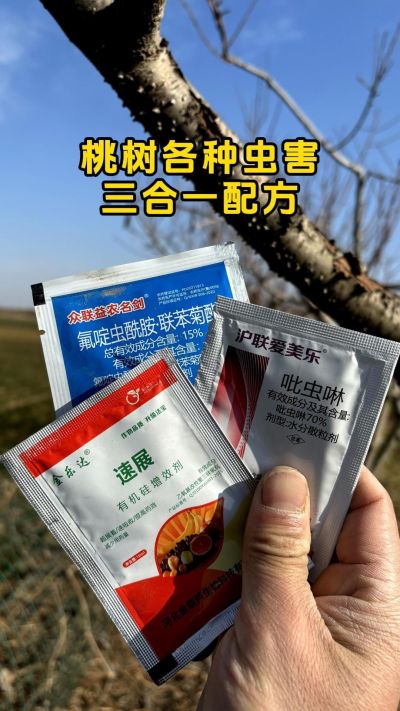桃树食心虫专用配方。#桃树 #果树管理 #病虫害防治