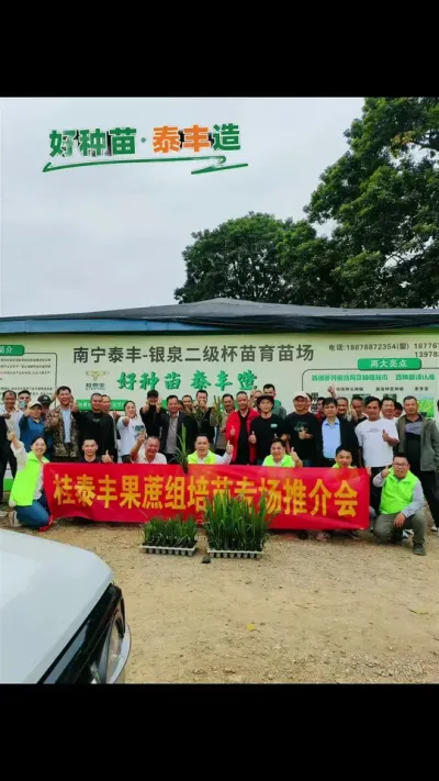 桂泰丰甘蔗种植交流会圆满成功。#甘蔗 #甘蔗种植 #农业种植 #三农