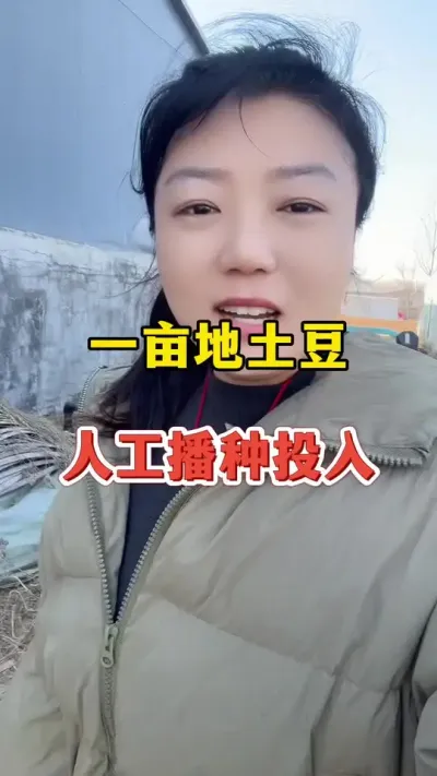 土豆一亩地人工费用你们那边多少#土豆高产种植 #土豆 @抖音小助手