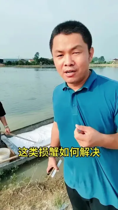这类损蟹如何解决 #养蟹 #大闸蟹养蟹
