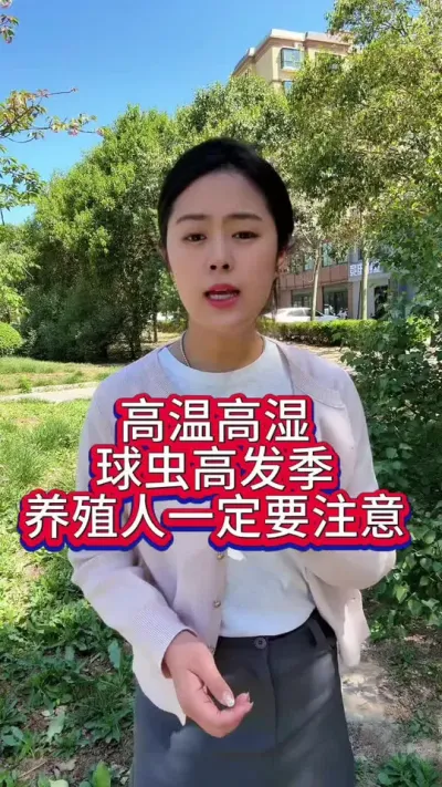 高温高湿又到了球虫高发的季节养殖人一定要注意#养鸡#科学养鸡#散养土鸡#养鸡妙招