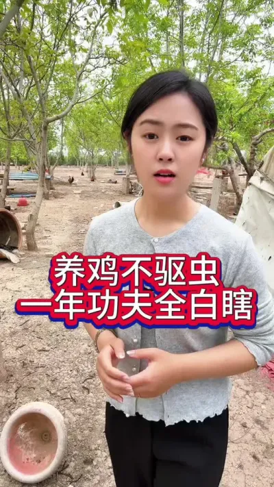 养鸡不驱虫一年功夫全白瞎#养鸡#科学养鸡#散养土鸡#养鸡妙招#鸡鸭鹅养殖