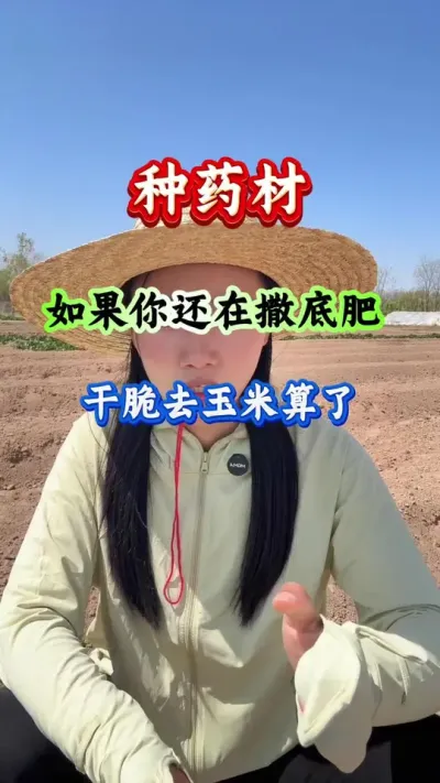 药材种植 种药材如果你还在撒底肥干脆去种玉米算了 #药材种植 #药材管理 #药材高产