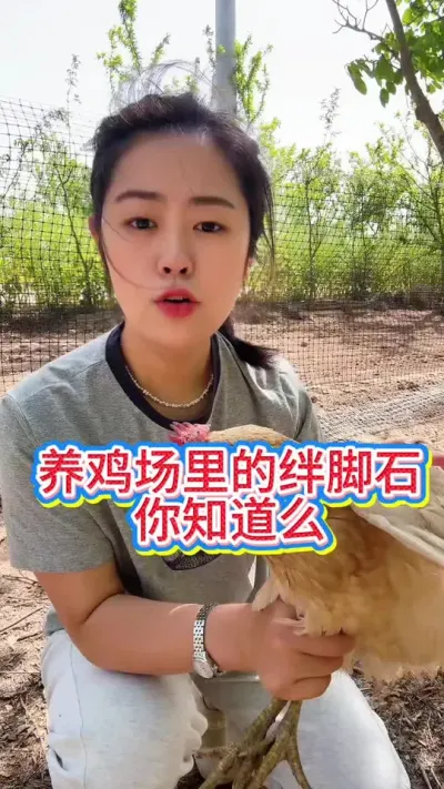 #科学养鸡 #抖音养鸡人 #服务三农支持三农 #鸡鸭鹅养殖 #养殖小妙招