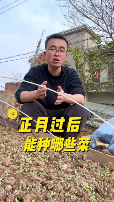 正月过后能种哪些菜？需要做好哪些种植准备工作？#种植小技巧 #关注我一起学种菜 #每天分享蔬菜种植技巧 #在家种菜 #我爱种菜