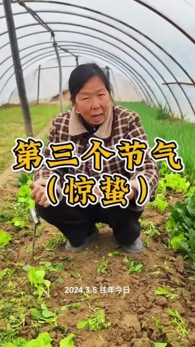 二十四节气惊蛰#二十四节气 #惊蛰节气 #蔬菜种植 #生菜杨姐