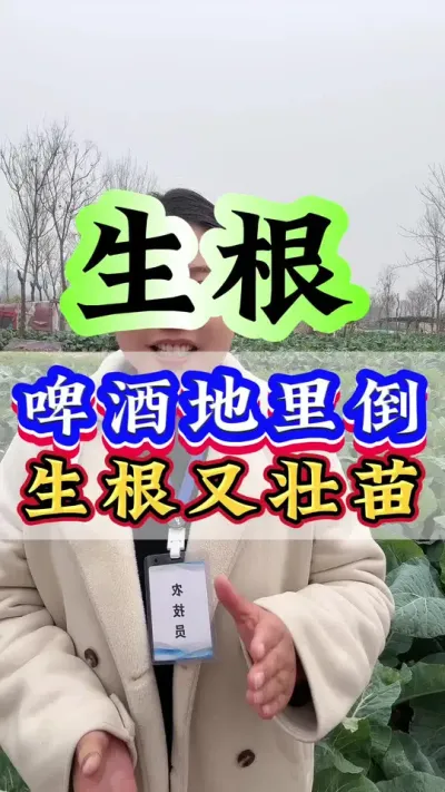 啤酒地里倒生根又壮苗#生根壮苗 #种植小技巧 #抖音助农 #农业种植 #三农