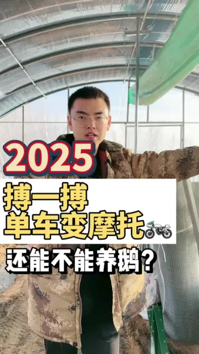 2025又开始了！很多粉丝朋友问我，最近鹅行情这么差？还能不能养鹅了！我发表一下我的看法！搏一搏单车变摩托！#养鹅人加油 #养鹅技术找晓雨